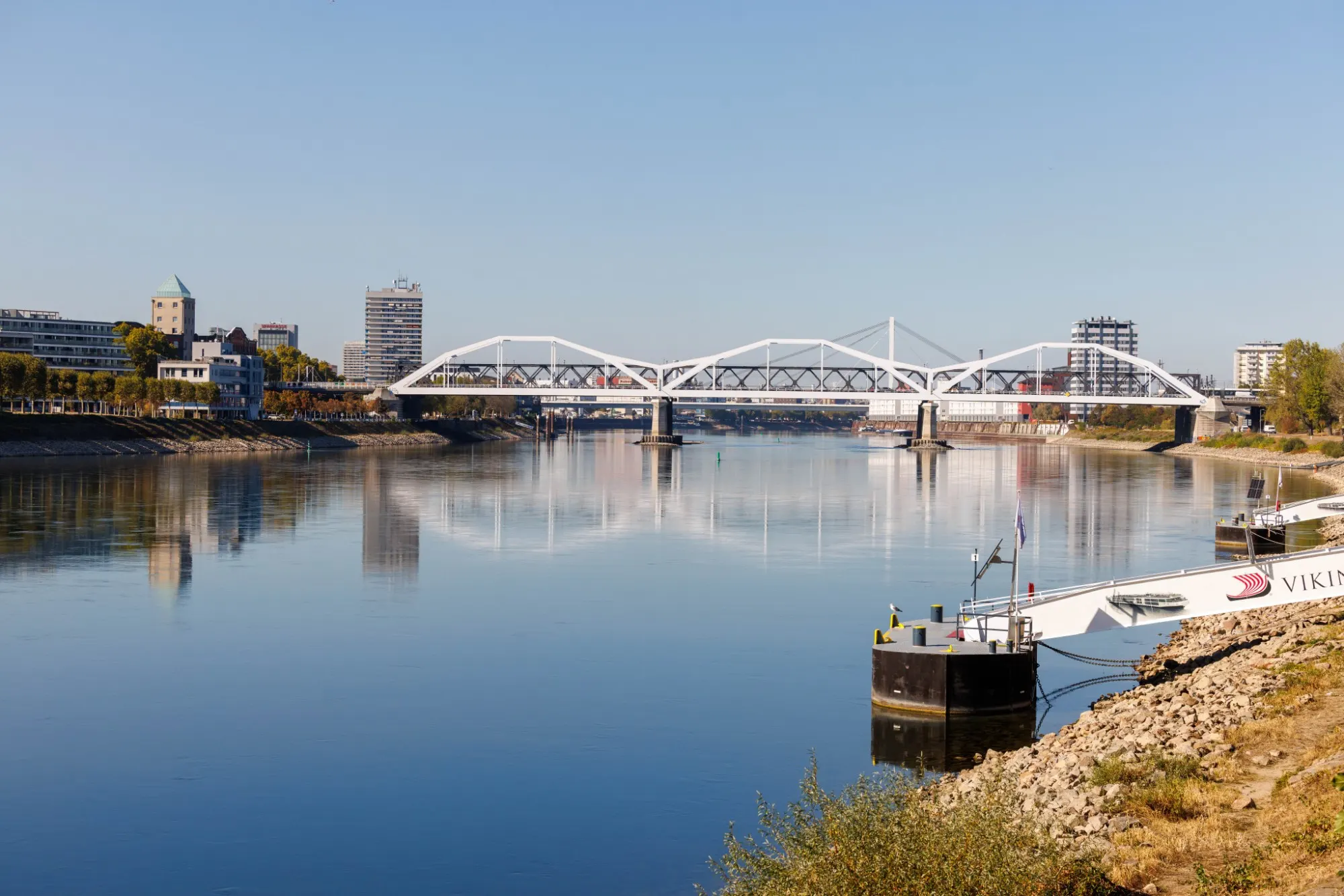 Blick über den Rhein in Mannheim auf die Brücke und die Stadtsilhouette